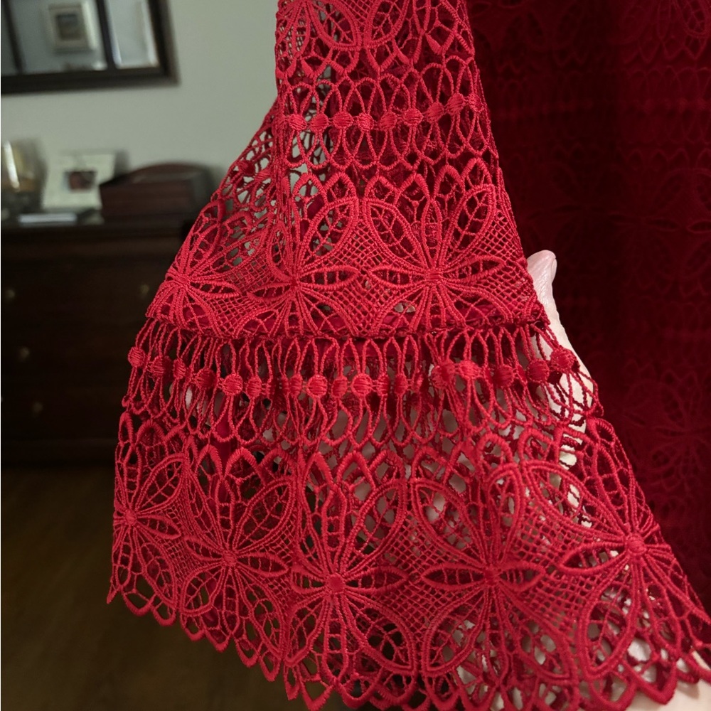 Absolutely gorgeous, red peep through lace top. Lined in red, peep through arms.